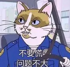 不要慌问题不大.jpg