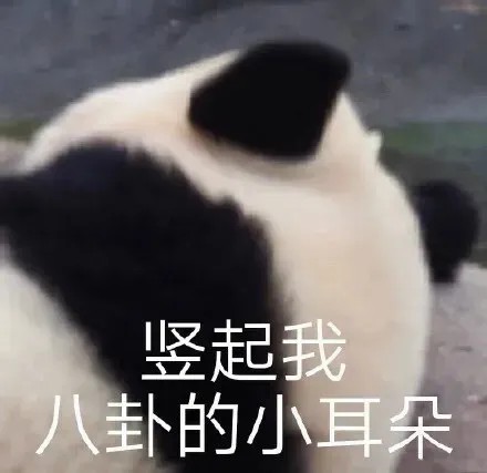 竖起我八卦的小耳朵.jpg