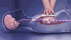 按胸.gif