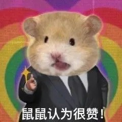 鼠鼠认为很赞.jpg