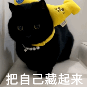 把自己藏起来.gif