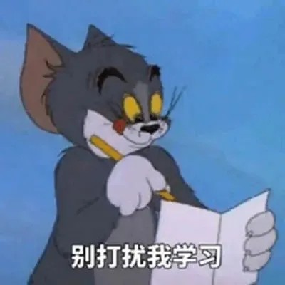 别打扰我学习.jpg