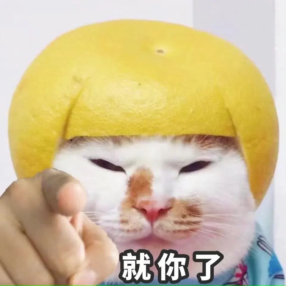 就你了.jpg