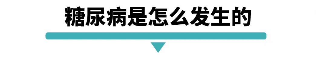 糖尿病是怎发生的.jpg