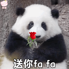 送给你.gif