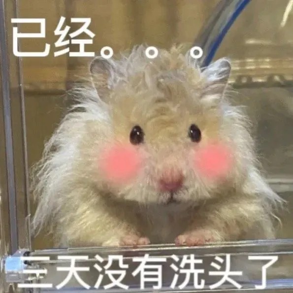 三天没有洗头了.jpg