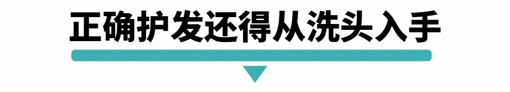 正确护法还得从洗头入手.jpg