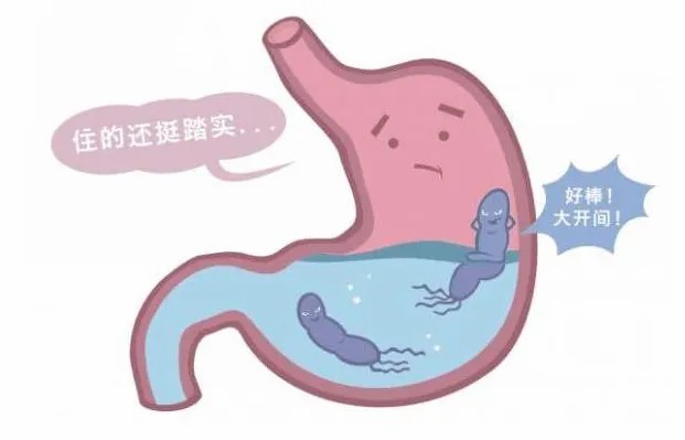 幽门杆菌.jpg