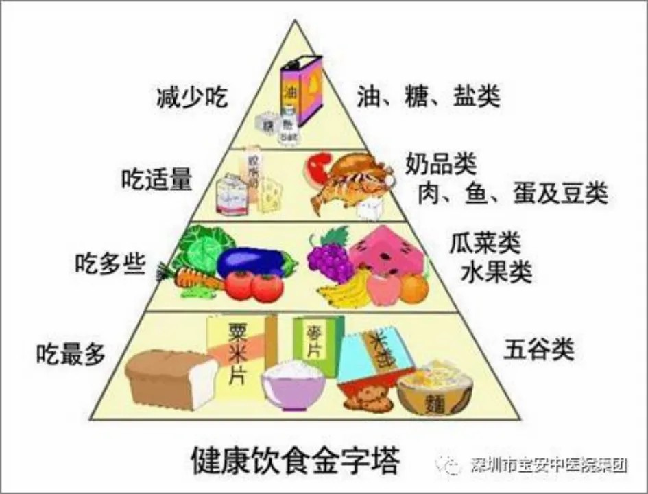 健康饮食金字塔.jpg