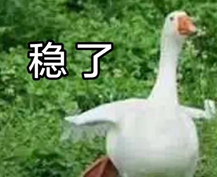 稳了.jpg