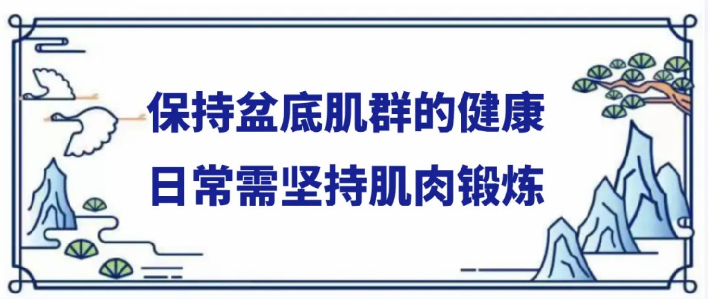 保持盆底肌群的健康日常需坚持肌肉锻炼.jpg