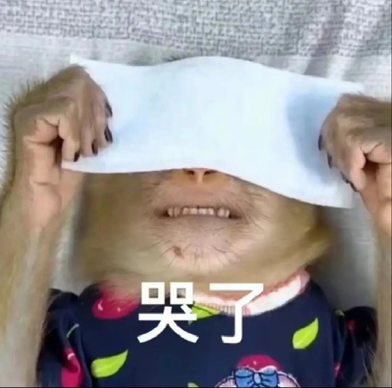 哭了.jpg