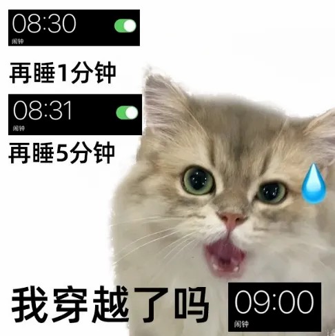 我穿越了吗.jpg