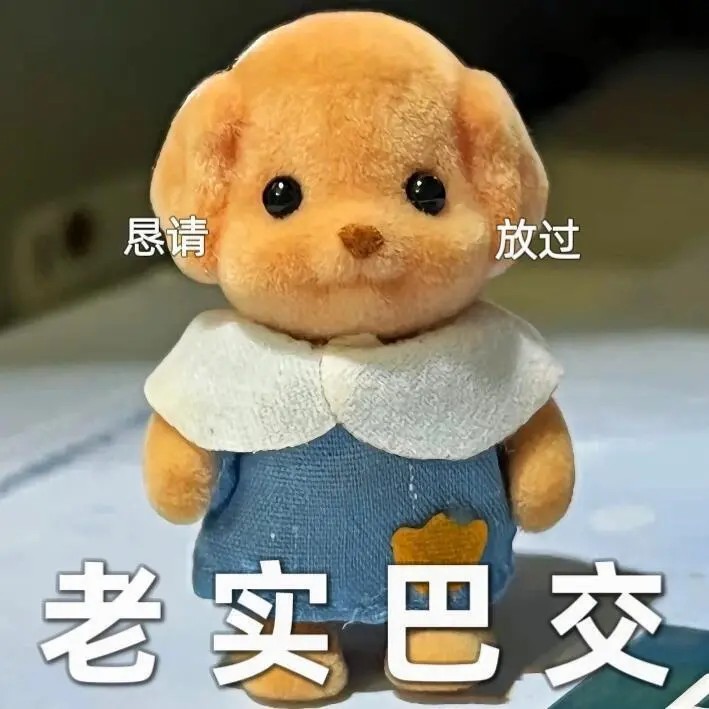 老实巴交.jpg