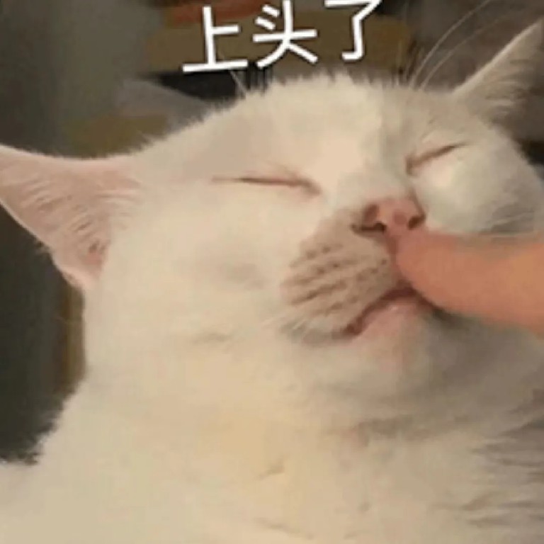 上头了.jpg