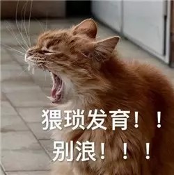 猥琐发育，别浪.jpg