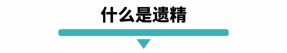 什么是遗精.jpg