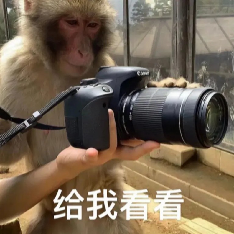 给我看看.jpg