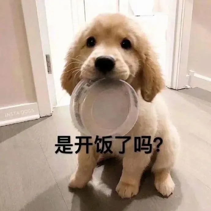 是开饭了.jpg