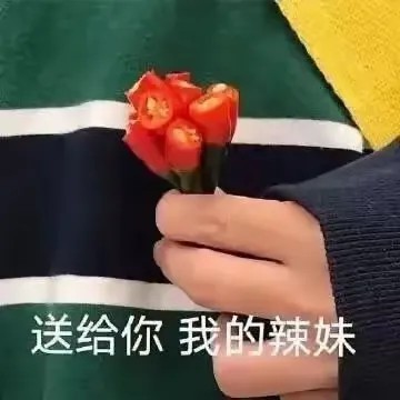 宋给您我的辣妹.jpg