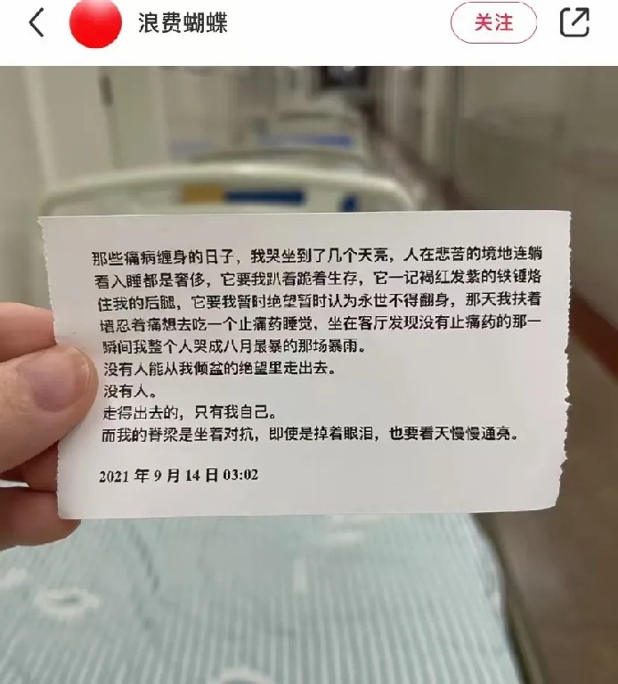 浪费蝴蝶.jpg