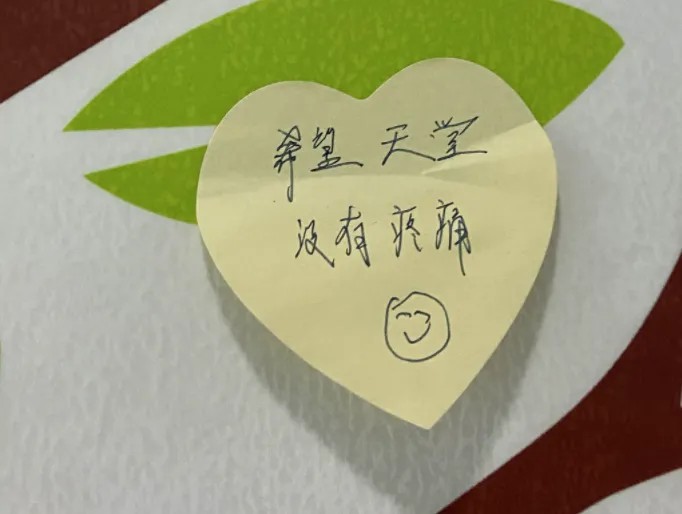 没人想痛苦地死去.jpg