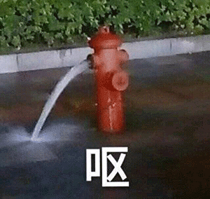呕.gif