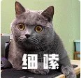 细嗦.jpg