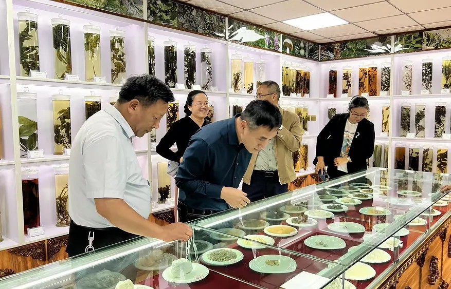 宝安中医院（集团）医疗团队赴西藏林芝市藏医院交流、学习.jpg