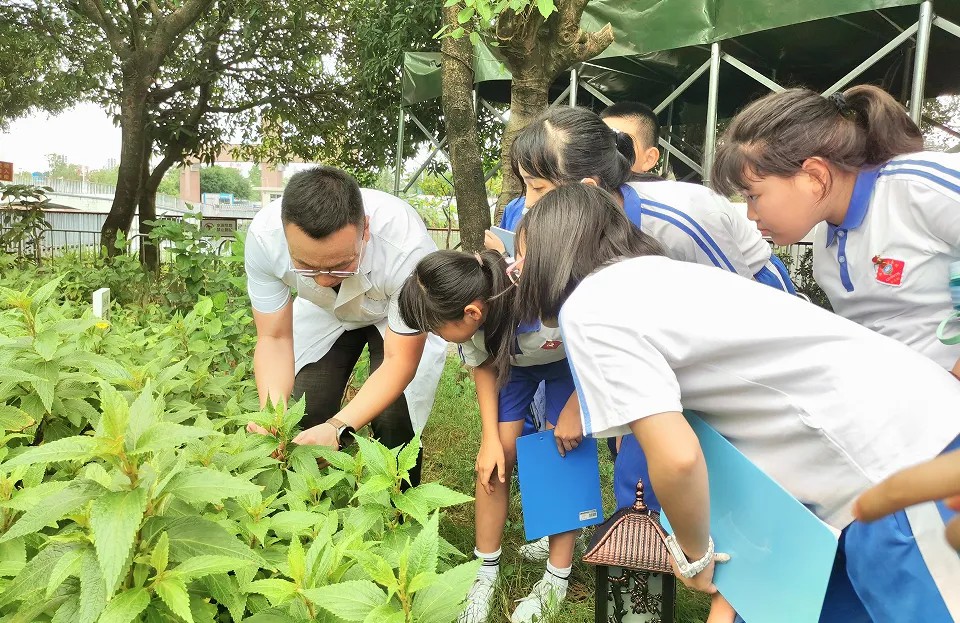 中小学生参加中医药文化夏令营活动.jpg