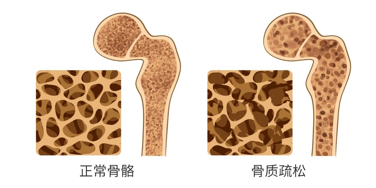 微信图片_20250213173653.jpg
