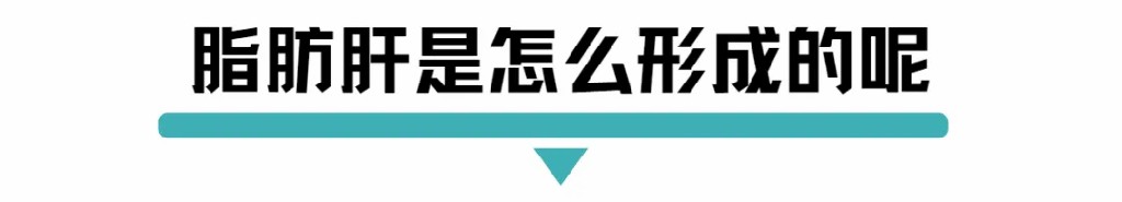 脂肪肝是怎么形成的呢.jpg