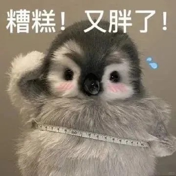 糟糕有胖了.jpg