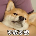 不我不想.jpg