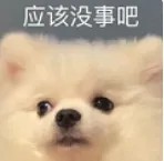 应该没事.jpg