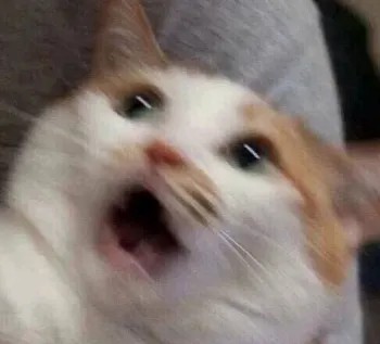 惊讶.jpg