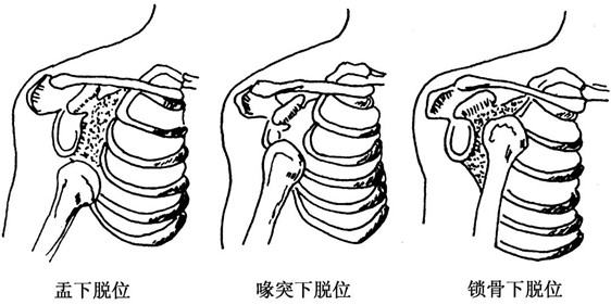 图片7.jpg