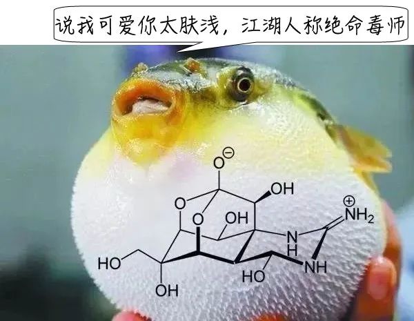 切勿误食，这些‘隐形杀手’可能就在你身边！.docx_1