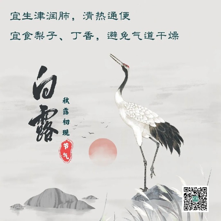 白露.jpg