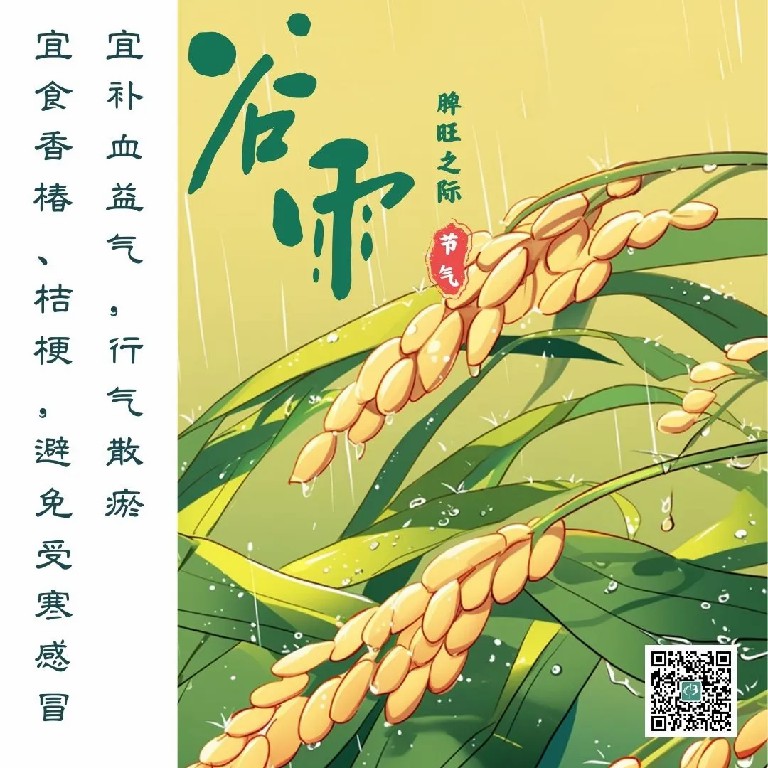 谷雨.jpg