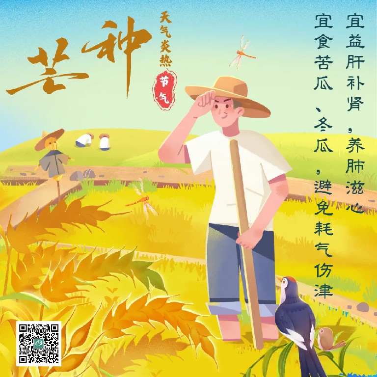 芒种.jpg