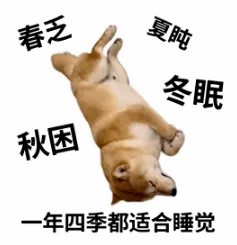 冬眠.jpg