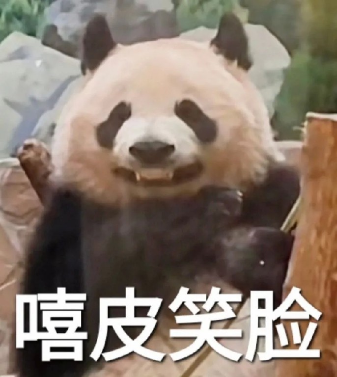 嬉皮笑脸.jpg