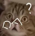 哈.jpg