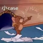 小case.jpg