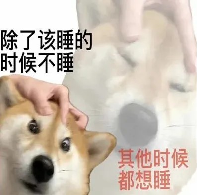 除了该睡的.jpg