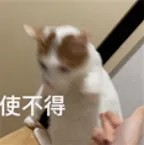 使不得.jpg