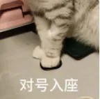 对号入座.jpg