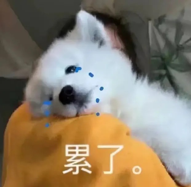 累了.jpg