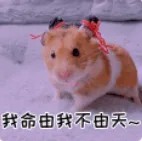 我命由我不由天.jpg